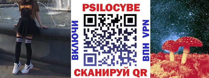 Псилоцибиновые грибы Psilocybe  Купить закладки  Оха 